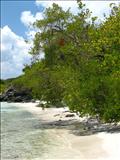 Playa La Plata - VIEQUES